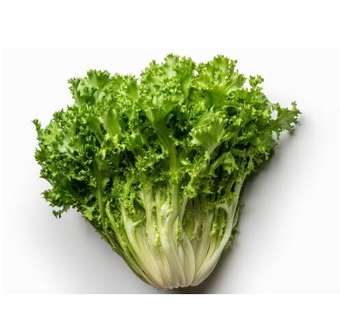 Green Escarole vegetable seeds - Heirloom, Organic, Non Gmo Garden Seeds for kitchen garden planting