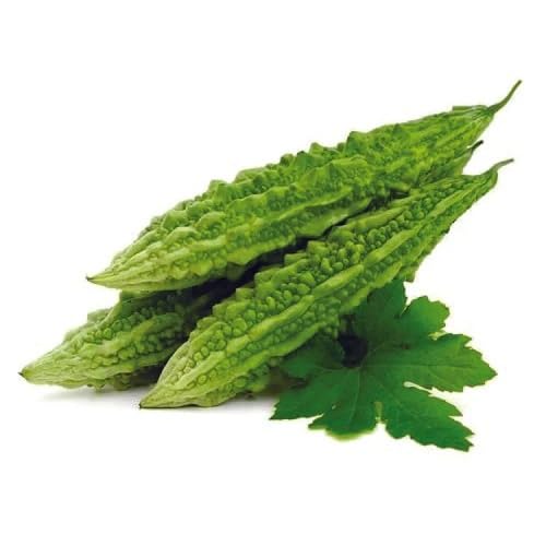 Bitter Melon vegetable seeds Green vegetable seeds for Home Gardening, Fast Growing Backyard Harvest for kitchen garden planting