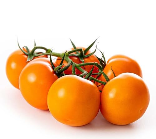 Tomato vegetable seeds Organic vegetable seeds for Home Gardening, Organic Raised Bed Gardening for kitchen garden planting