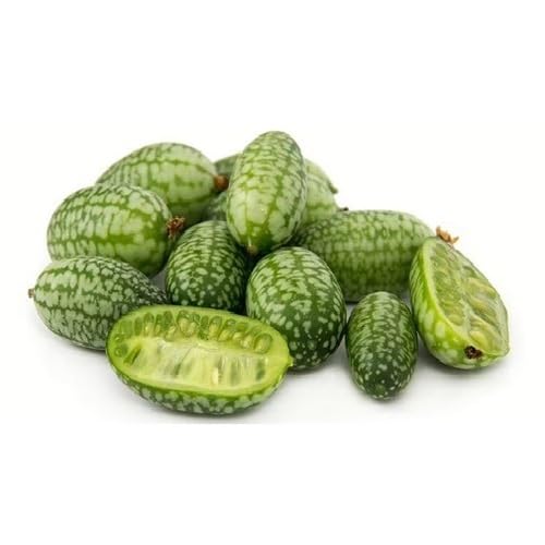 Green cucamelon vegetable seeds for Home Gardening, Premium Kitchen Garden Planting for kitchen garden planting