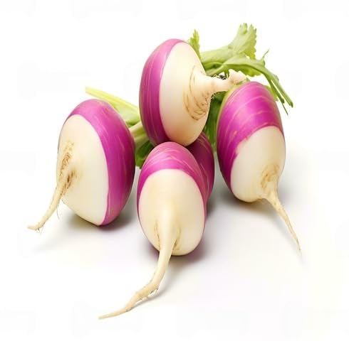 White Pink Turnip vegetable seeds vegetable seeds for Home Gardening, Easy Grow Farm Fresh Produce for kitchen garden planting