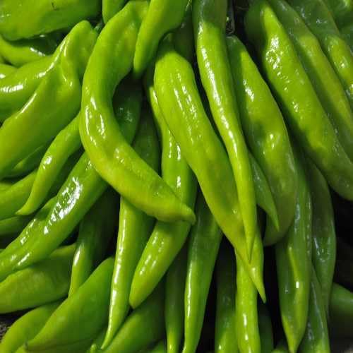 Chilli Pepper vegetable seeds - Heirloom, Organic, Non Gmo Garden Seeds for kitchen garden planting