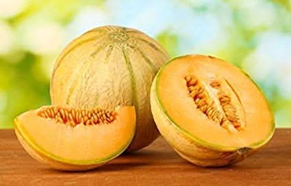 sweet melon fruit for planting refreshing summer delight heirloom Fruit seeds