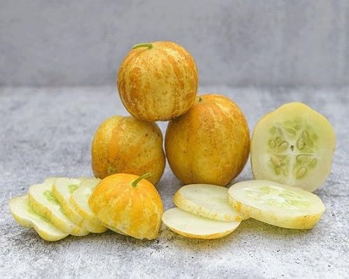 Yellow Lemon Cucumber Vegetables Seed vegetable seeds - Heirloom, Organic, Non Gmo Garden Seeds for kitchen garden planting
