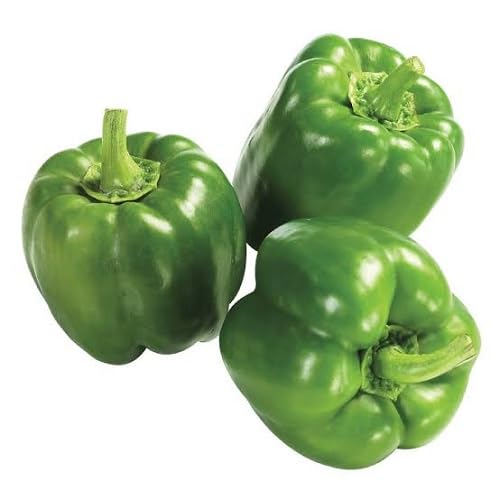 Capsicum vegetable seeds Green vegetable seeds for Home Gardening, Healthy Culinary Garden Variety for kitchen garden planting