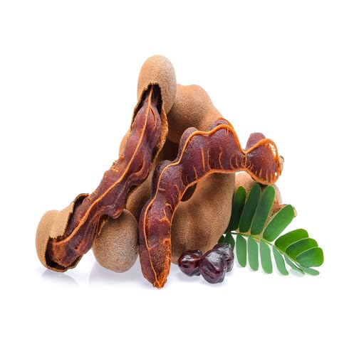 Brown Tamarind Fruit fruit seeds for organic garden planting