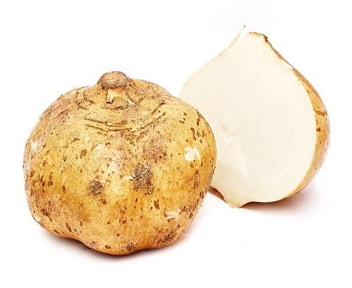 Brown Sicana fruit seeds for organic garden planting