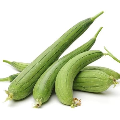 Green Loah vegetable seeds - Heirloom, Organic, Non Gmo Garden Seeds for kitchen garden planting
