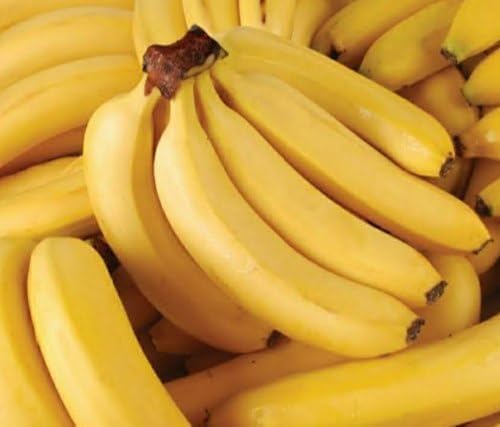 Banana Fruit fruit seeds for organic garden planting