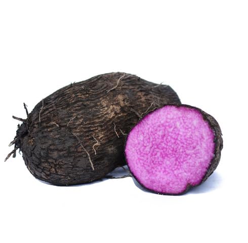 Purple Dioscorea Alata vegetable seeds - Heirloom, Organic, Non Gmo Garden Seeds for kitchen garden planting