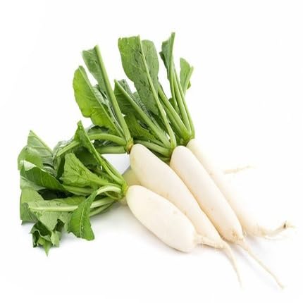 White Radish vegetable seeds for Home Gardening, Healthy Seasonal Vegetable Planting for kitchen garden planting
