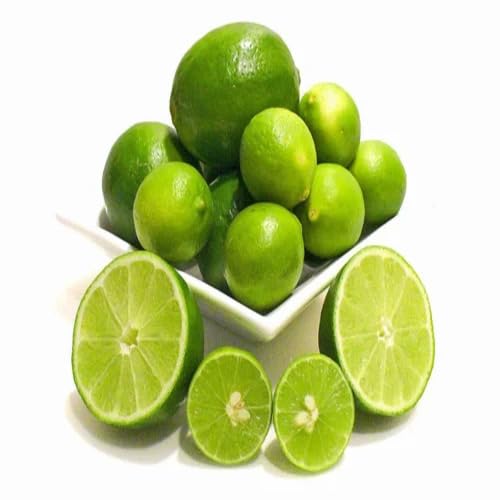 Green Lemon vegetable seeds - Heirloom, Organic, Non Gmo Garden Seeds for kitchen garden planting