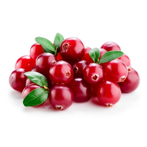 Red Cranberry fruit seeds for organic garden planting