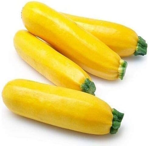 Yellow Zucchini vegetable seeds - Heirloom, Organic, Non Gmo Garden Seeds for kitchen garden planting