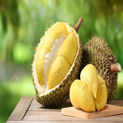 Durian Fruit fruit seeds for organic garden planting