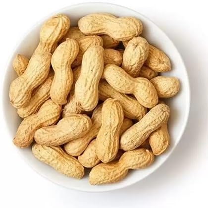 Peanut Plant Seeds Brown herb seeds - home gardening, heirloom garden seeds