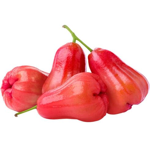 red rose apple fruit Fruit Seeds organic garden seeds