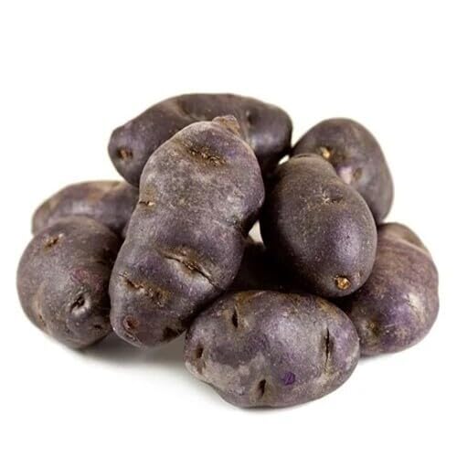 purple potato vegetable seeds