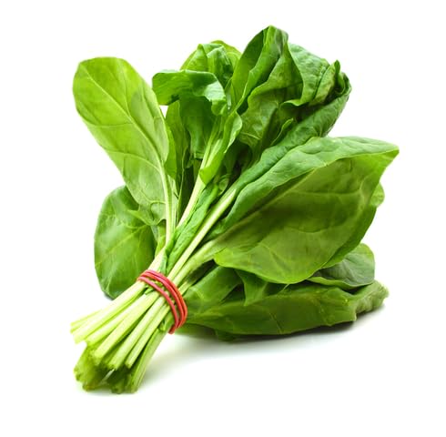 Green Spinach vegetable seeds - Heirloom, Organic, Non Gmo Garden Seeds for kitchen garden planting