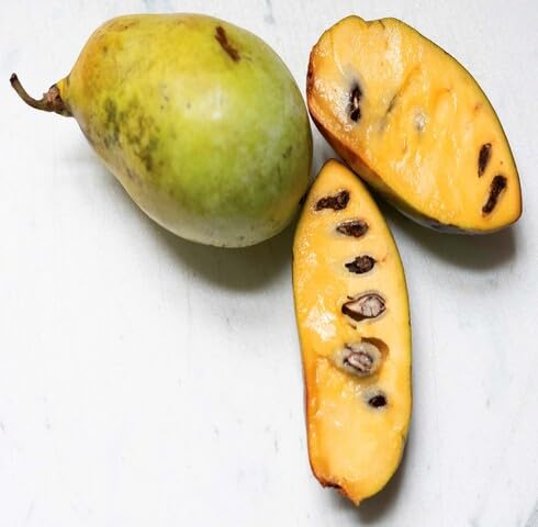 Yellow Paw fruit seeds for organic garden planting