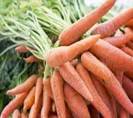 Carrot Vegteable Seeds vegetable seeds - Heirloom, Organic, Non Gmo Garden Seeds for kitchen garden planting