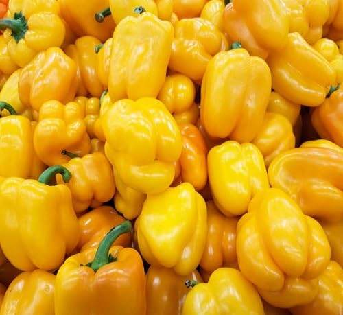 Capsicum Vegetable Seeds Heirloom, Non-GMO for Home Garden Planting