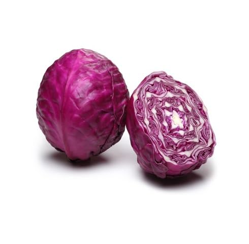 Purple Cabbage vegetable seeds vegetable seeds for Home Gardening, Natural Home Farming Choice for kitchen garden planting