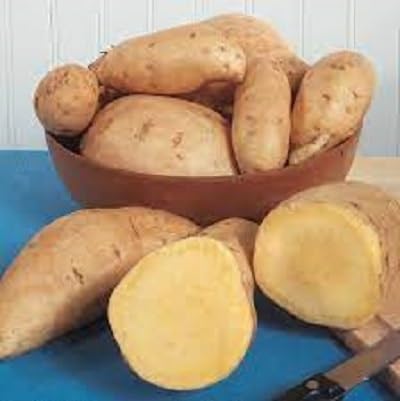 Sweet Potato Brown vegetable seeds for Home Gardening, Easy Grow Culinary Garden for kitchen garden planting