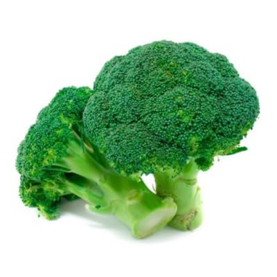 Green Broccoli vegetable seeds for Home Gardening, Healthy Seasonal Vegetable Planting for kitchen garden planting