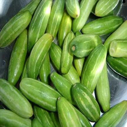 Ivy Gourd Green vegetable seeds for Home Gardening, Heirloom, Non-GMO, High Germination for kitchen garden planting