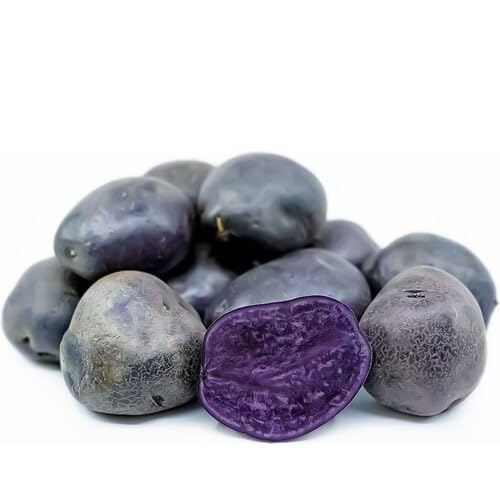 Purple Potato . Vegetable Seeds Heirloom, Non-GMO for Home Garden Planting