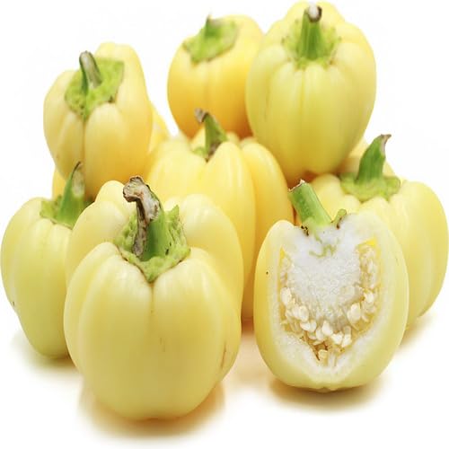 Yellow Light Paprika vegetable seeds - Heirloom, Organic, Non Gmo Garden Seeds for kitchen garden planting