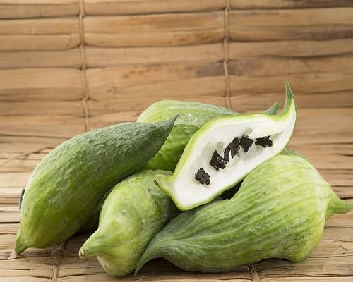 Yacon ,brown vegetable seeds - Heirloom, Organic, Non Gmo Garden Seeds for kitchen garden planting