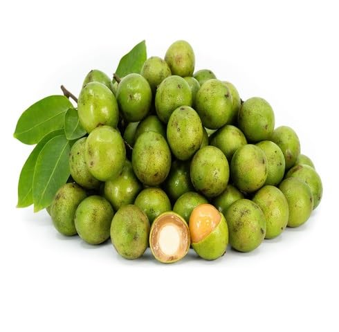 orange mamoncillo fruit Fruit Seeds organic garden seeds