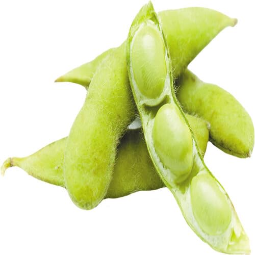 Soybeans vegetable seeds for Home Gardening, Organic Raised Bed Garden Favorite Premium for kitchen garden planting