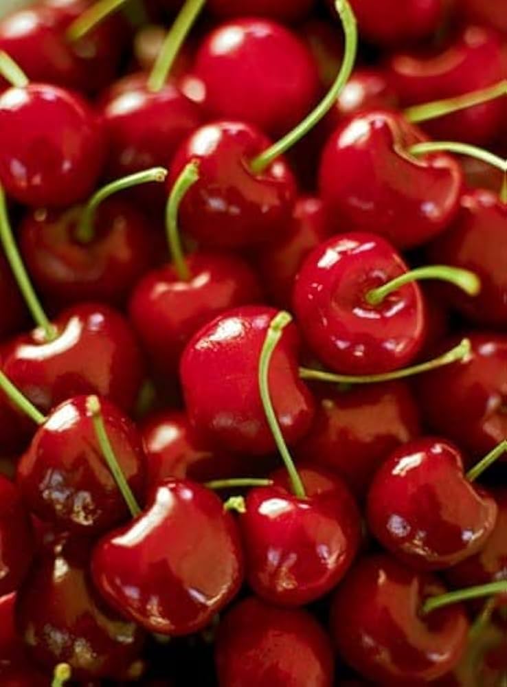 bio boden cherry Fruit Seeds