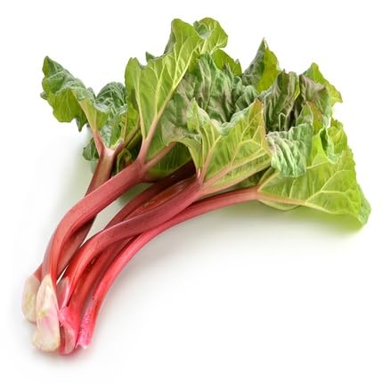 Green Rhubarb vegetable seeds for Home Gardening, Natural Farm Fresh Gardening Choice for kitchen garden planting