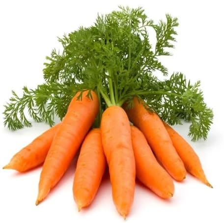 Orange Carrot vegetable seeds - Heirloom, Organic, Non Gmo Garden Seeds for kitchen garden planting