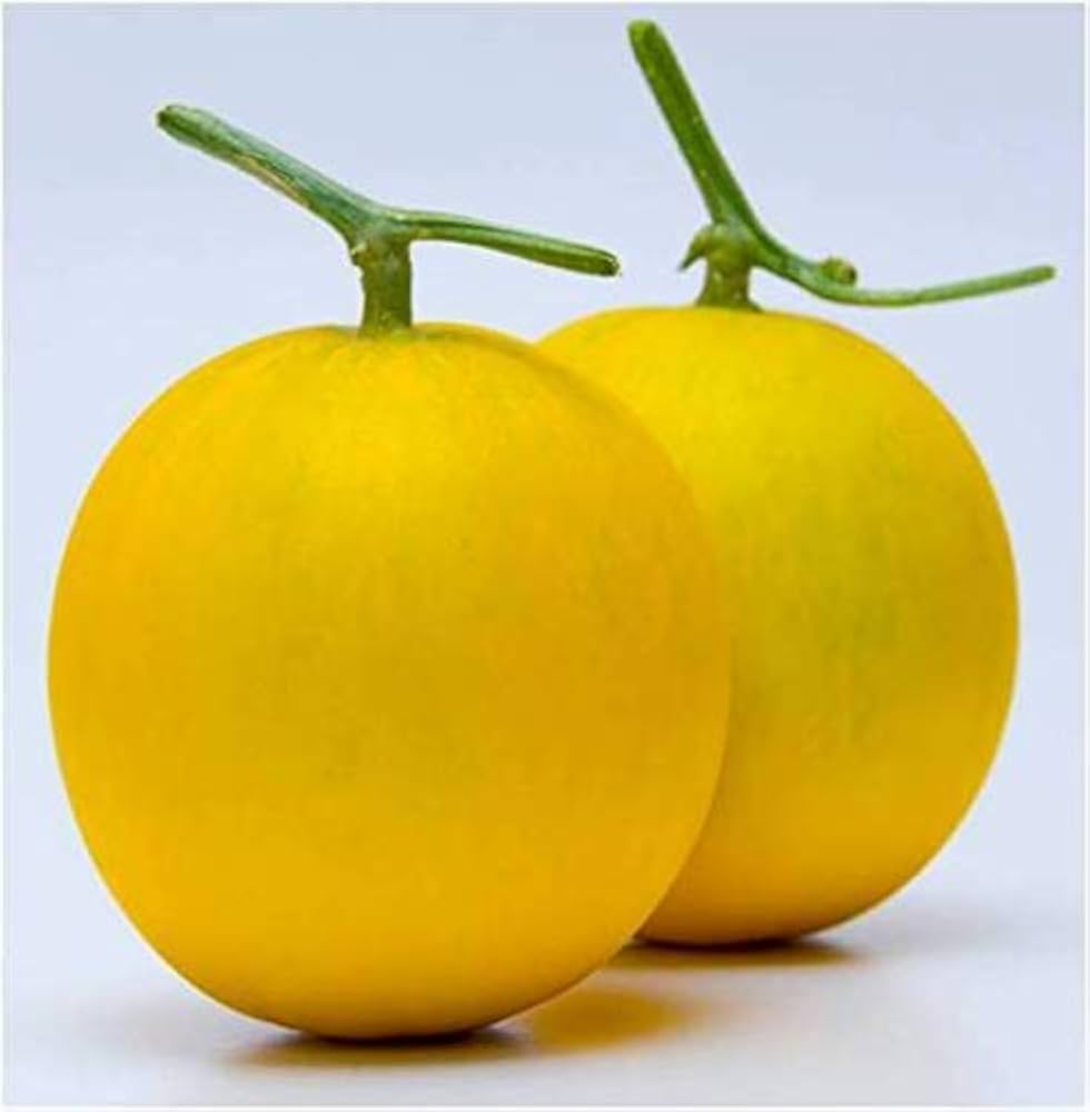 Gold Melon Fruit Vegetables Cucurbito