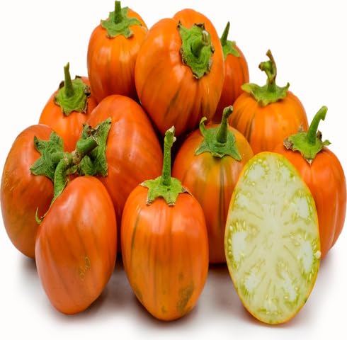 Orange Aubergine vegetable seeds - Heirloom, Organic, Non Gmo Garden Seeds for kitchen garden planting