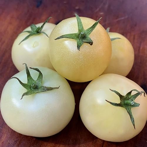 white tomato vegetable seeds