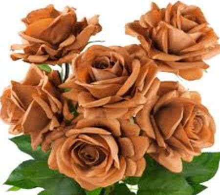 Brown Rose Flower Seeds