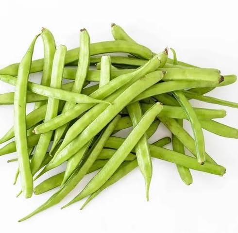 Green Guar vegetable seeds - Heirloom, Organic, Non Gmo Garden Seeds for kitchen garden planting