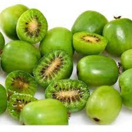 kiwi fruit green Fruit Seeds organic garden seeds