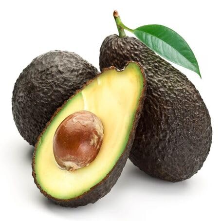 Black Avocado fruit seeds for organic garden planting
