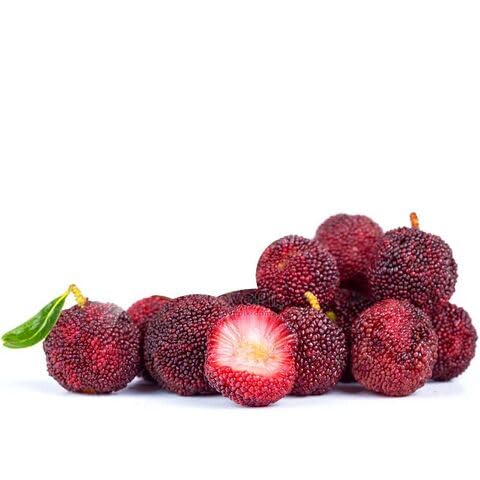 Bayberry Fruit Seeds organic garden seeds