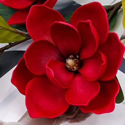 Red Magnolia Flower Seeds