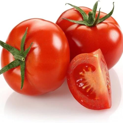 Red Tomato vegetable seeds vegetable seeds for Home Gardening, Premium Kitchen Garden Collection for kitchen garden planting