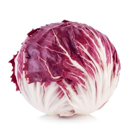 Radicchio vegetable seeds for Home Gardening, Organic Raised Bed Garden Favorite Premium for kitchen garden planting