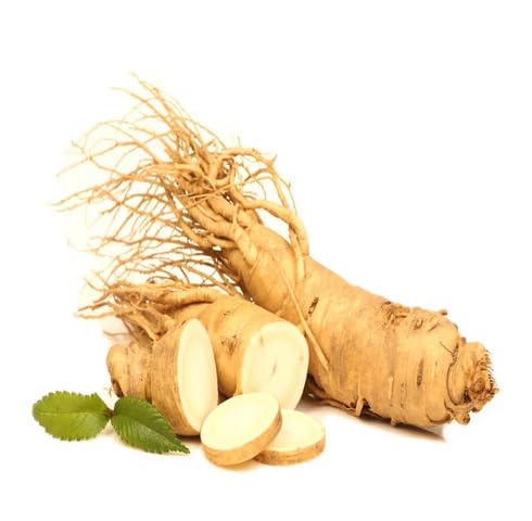 Brown Ginseng vegetable seeds for Home Gardening, Nutritious Backyard Harvest Collection for kitchen garden planting